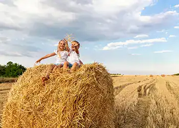 Vacances sans voiture